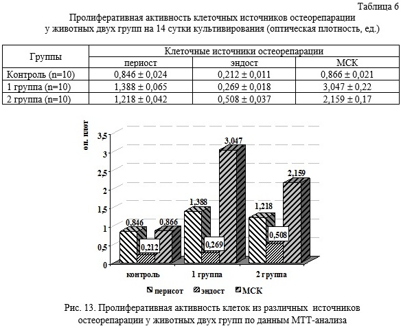 Мікроскопічне зображення моношару культур клітин періосту та ендосту після фарбування BCIP/NBT.