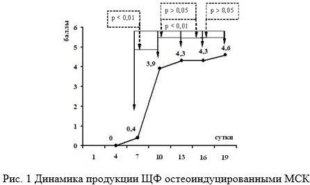 Line graph illustrating the percentage of MSCs producing ALP during 19 days of osteogenic induction.